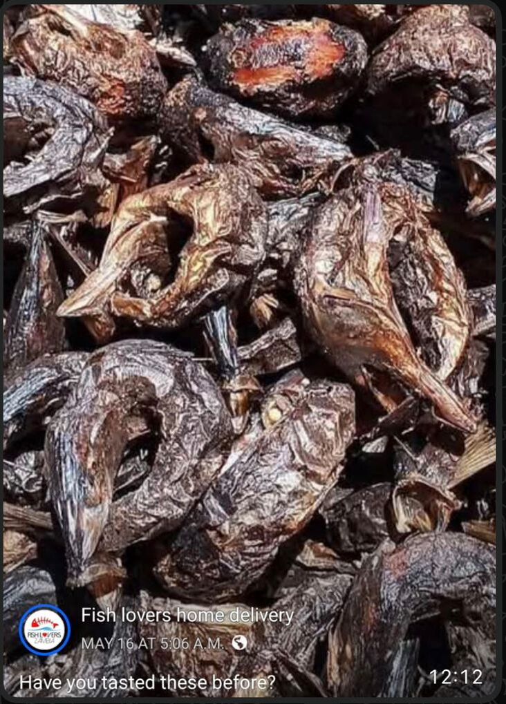 Smoked Tanganyika Sardines (Mikeke Moto / Moya 10 pieces 50%)